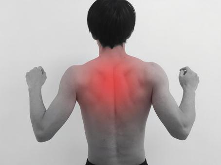 背中の痛み、張感　ZEROSPO‐ADVANCE　白楽